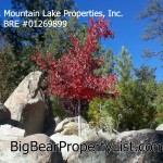 October Sales Trend for Big Bear Real Estate